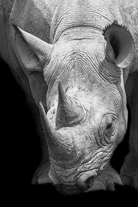 Marco Simoni - 13000 grams, Antiquités & Art, Art | Objets design