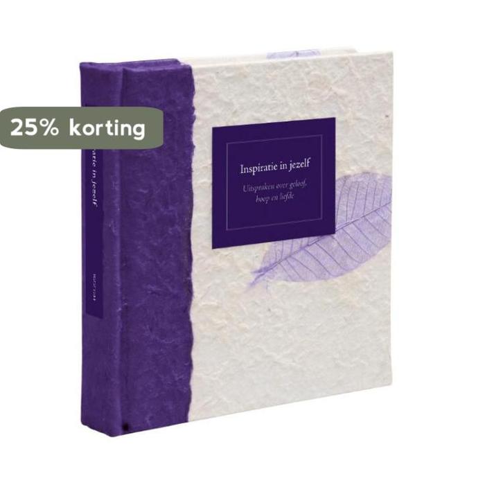 Inspiratie In Jezelf 9789045309651 Stephan de Jong, Boeken, Stripverhalen, Gelezen, Verzenden