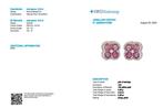 Oorstekers - 14 karaat Geel goud - 2.71ct. tw. Toermalijn -