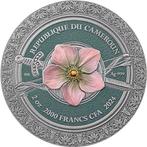 Kameroen. 5000 Francs 2024 Amazon - Femina Bellator 2 oz