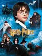 Harry Potter: The Philosophers Stone 30 x 40 cm Glazen Post, Collections, Ophalen of Verzenden