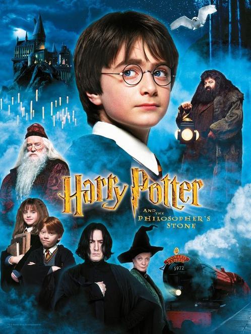 Harry Potter: The Philosophers Stone 30 x 40 cm Glazen Post, Verzamelen, Harry Potter, Ophalen of Verzenden
