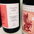 Cantillon - Sophia, Drogone, - 75cl - 6 flessen, Verzamelen, Wijnen, Nieuw
