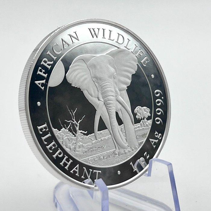 Somalië. 100 Shilling 2025 Wildlife Elephant Silver Coin, Timbres & Monnaies, Monnaies | Europe | Monnaies non-euro