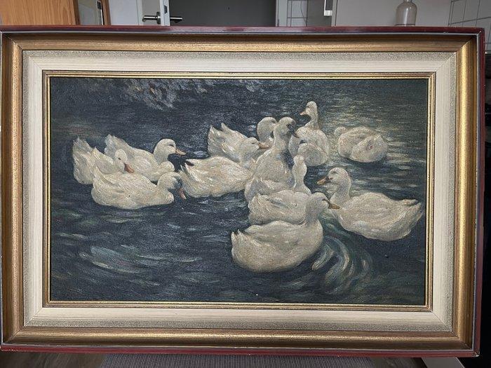 Alexander Köster (1864-1932), Nachfolger - Enten, Antiek en Kunst, Kunst | Schilderijen | Klassiek