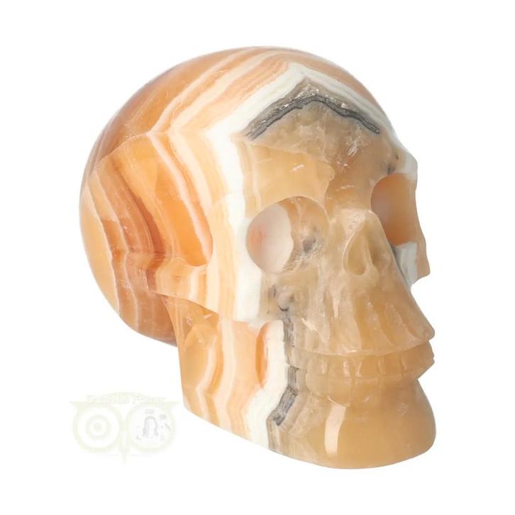 Oranje Calciet schedel Nr 273 - 636 gram, Handtassen en Accessoires, Edelstenen, Nieuw, Verzenden