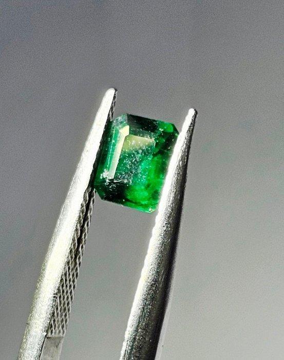 Sans prix de réserve - 1 pcs Vert Émeraude - 0.51 ct -, Bijoux, Sacs & Beauté, Pierres précieuses