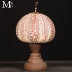 Curiosity Objects - Natuurwetenschap - Grote decoratieve, Verzamelen