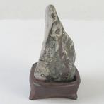 Pierre de chrysanthème japonaise authentique (Suiseki) -