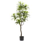 Kunstplant - Dracaena - Drakenboom - 130 cm, Nieuw