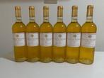 2019 Château Roumieu - Sauternes - 6 Flessen (0.75 liter), Verzamelen, Nieuw