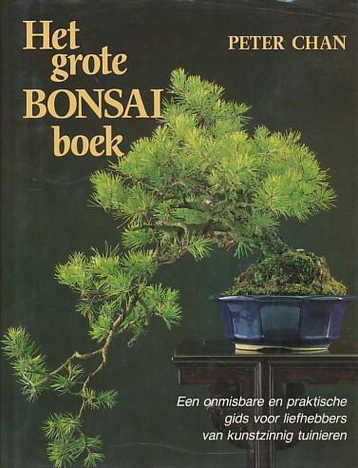 GROTE BONSAI-BOEK 9789025290634 P. Chan, Boeken, Hobby en Vrije tijd, Gelezen, Verzenden