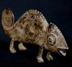 Figure - Lobi Bronze Chameleon - 12 cm - Burkina Faso (Sans