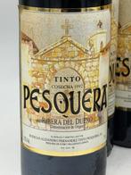1992 Alejandro Fernandez, Tinto Pesquera - Ribera del Duero, Verzamelen, Wijnen, Nieuw