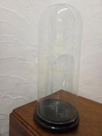 Globe - stolp - antiek - 1901-1920 - Cloche ronde ancienne