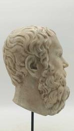sculptuur, Testa del filosofo Socrate - 39 cm - marmerstof, Antiek en Kunst