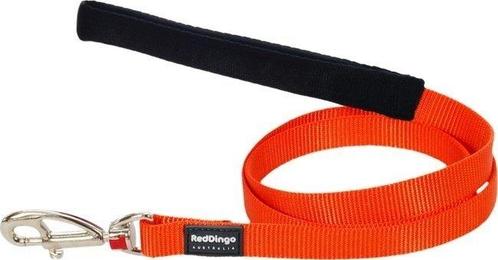 Reddingo hondenlijn oranje 20mmx2m, Animaux & Accessoires, Colliers & Médailles pour chiens