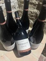 2012 Domaine Arnoux-Lachaux, Pinot Fin - Bourgogne - 6, Nieuw