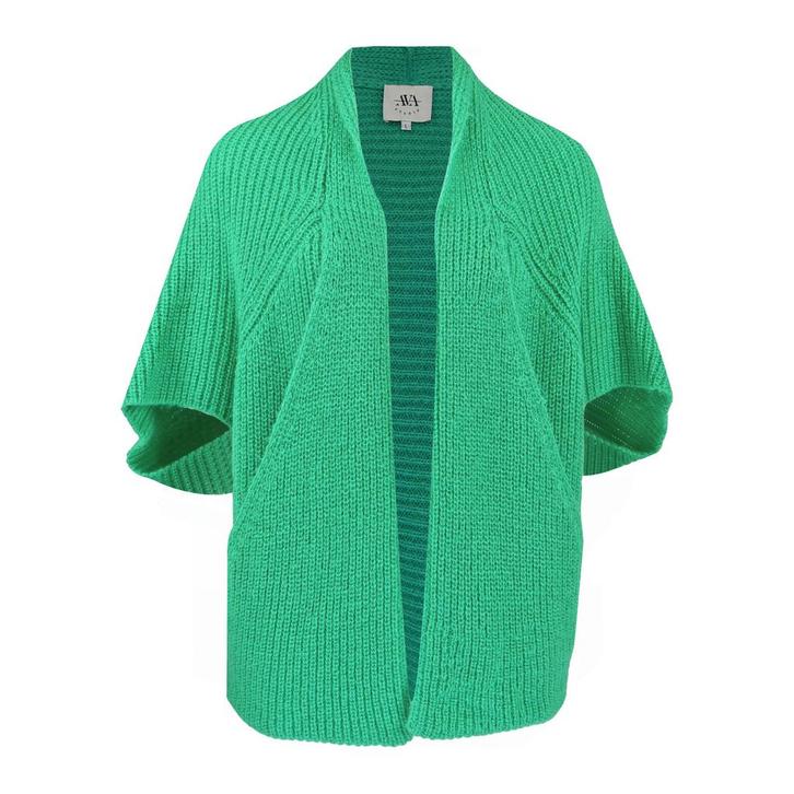 AVA studio • groen gebreid vest • L, Kleding | Dames, Truien en Vesten, Groen, Nieuw, Verzenden
