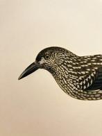 Von Wright brothers & Bror Halberg - Nutcracker lithographic