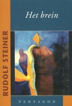 Het brein 9789490455514 Rudolf Steiner, Boeken, Verzenden, Gelezen, Rudolf Steiner