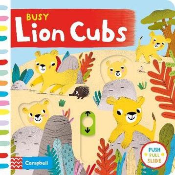 Busy Lion Cubs 9781529005028 Campbell Books, Verzenden, Campbell Books