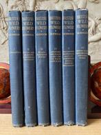 A. R. Horwood - British Wild Flowers in Their Natural Haunts, Antiek en Kunst