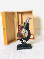 Microscope - 1950 - Reno Hyperphosphate, Collections