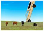 Roberto Cavalli (1971) - Mirages, Fallen from the sky / cow