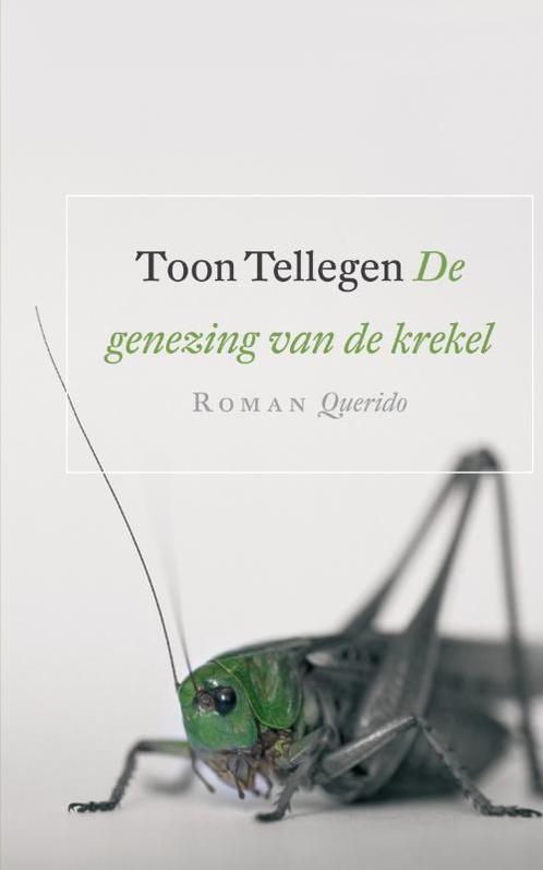 De genezing van de krekel 9789021438504 Toon Tellegen, Boeken, Romans, Gelezen, Verzenden