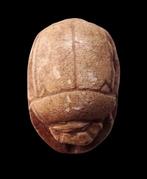 Oud-Egyptisch - Groot scarabee Middenrijk - cartouche met