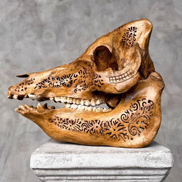 GEEN RESERVEPRIJS - Fijn handgesneden schedel van een wild, Antiquités & Art, Art | Objets design