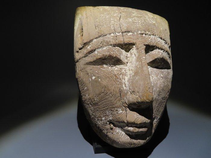 Oud-Egyptisch Hout Sarcophagus Masker. Late Periode 664 -, Verzamelen, Mineralen en Fossielen