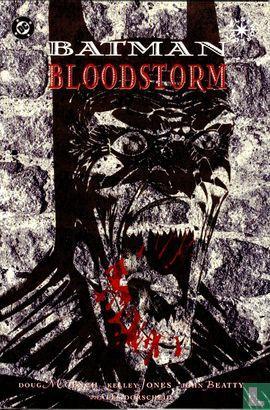 Batman - Bloodstorm - 1994, Boeken, Stripverhalen, Zo goed als nieuw, Eén stripboek, Verzenden