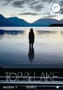 Top of the lake op DVD, CD & DVD, DVD | Thrillers & Policiers, Envoi