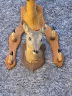 Ree Taxidermie volledige montage - Capreolus capreolus -, Nieuw