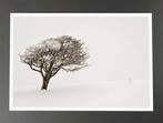 Andre Lichtenberg - Snow & Tree II, Antiek en Kunst, Kunst | Schilderijen | Modern