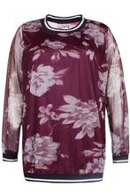 Shirt Zhenzi ARCHER voile maat 50/52, Kleding | Dames, Verzenden, Nieuw