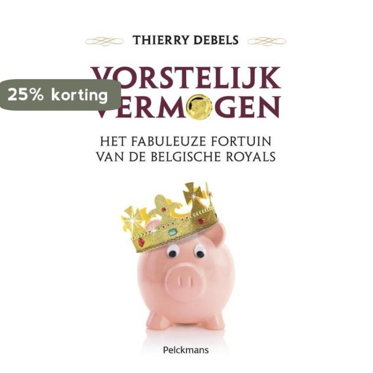 Vorstelijk vermogen 9789028979000 Thierry Debels, Boeken, Politiek en Maatschappij, Gelezen, Verzenden