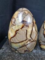 HQ set of 3 septaria, septarie sculptures - 11,8 - 8,8 cm, Verzamelen, Mineralen en Fossielen