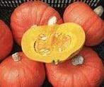 Tractor Hokkaido Bio Pompoen 50 zaden, Nieuw