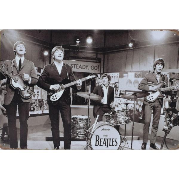 Wandbord Concert Bord - The Beatles Live In Concert On TV, Verzamelen, Muziek, Artiesten en Beroemdheden, Poster, Artwork of Schilderij