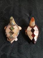 Conque Coquillage marin - Pinctada Margaritifera (Sans prix, Antiek en Kunst