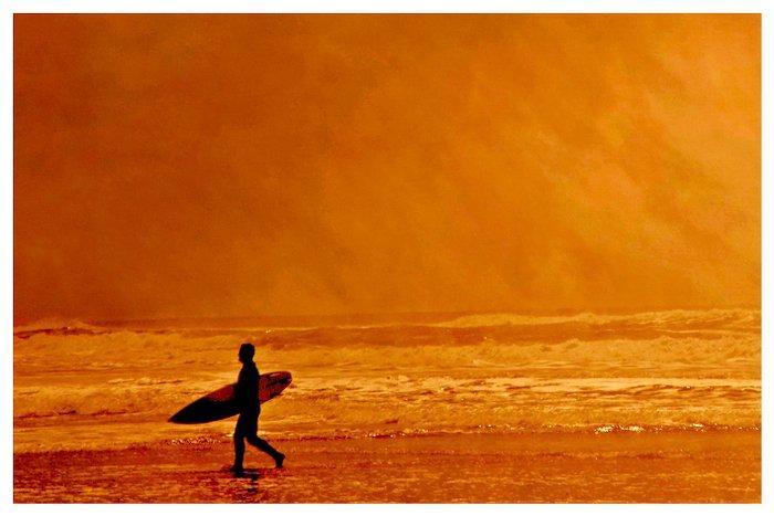 Roberto Cavalli (1971) - XXL - Somewhere, by the ocean -, Antiquités & Art, Art | Objets design