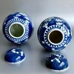 Paar Kersenbloesem Gemberpotten(NO RESERVE/CHEAP SHIPPING) -, Antiek en Kunst