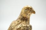 Figuur - Eagle - .925 zilver, Antiek en Kunst, Antiek | Zilver en Goud