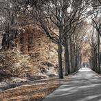 Wiepke Folkerts - Parc #3