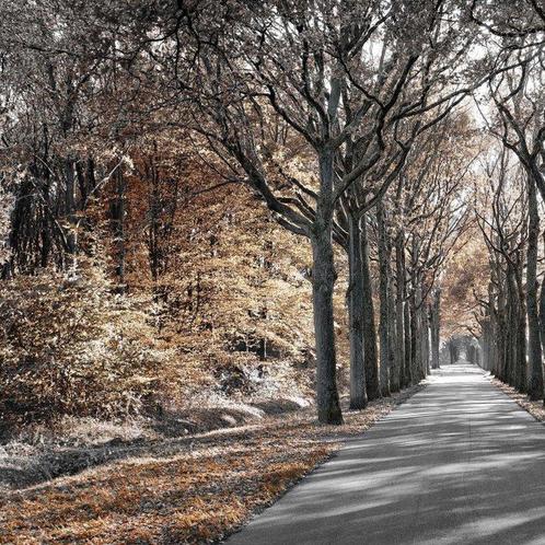 Wiepke Folkerts - Parc #3, Antiek en Kunst, Kunst | Designobjecten