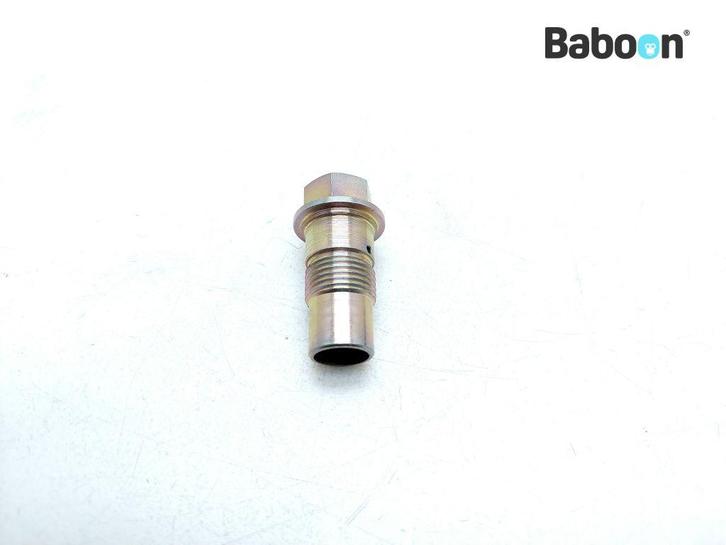 Nokkenas Kettingspanner BMW R 1200 GS 2008-2009 (R1200GS 08), Motoren, Onderdelen | BMW, Gebruikt, Verzenden