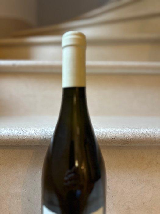 2009 Clos Rougeard Brézé - Saumur - 1 Fles (0,75 liter), Verzamelen, Wijnen